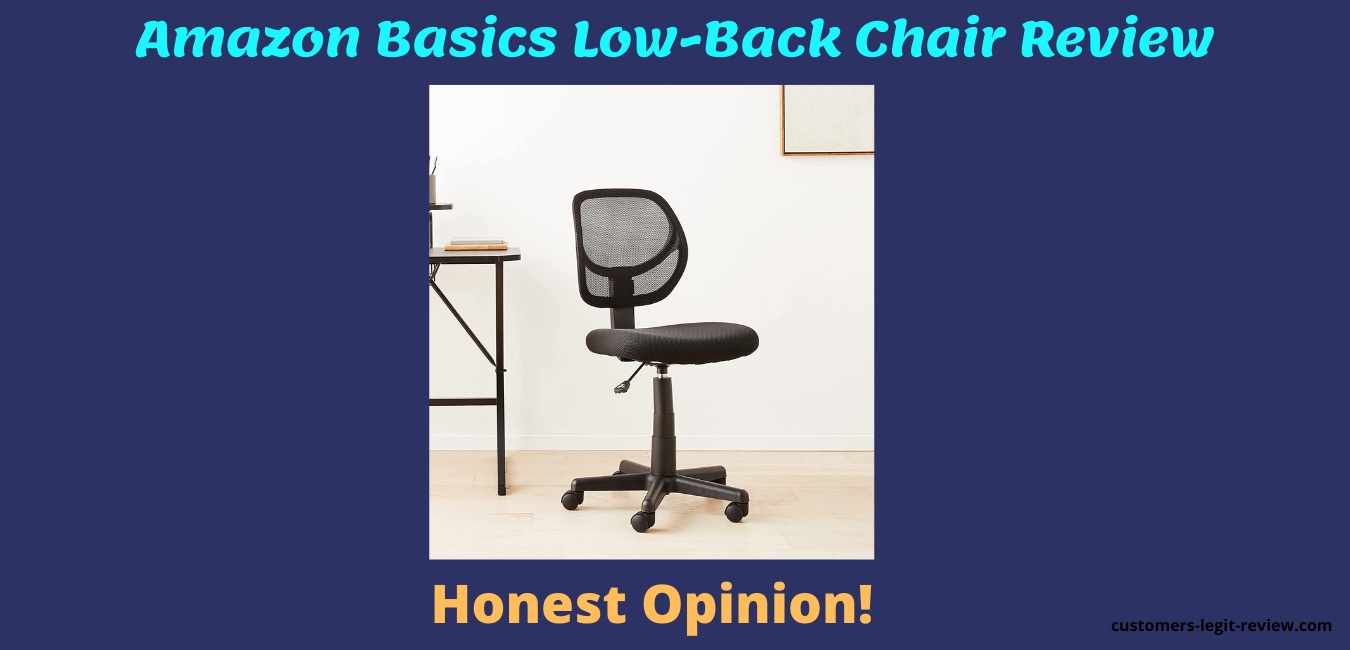 Amazon Basics Low-Back Chair Review